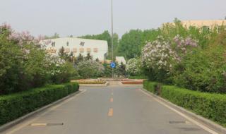 吉林交通职业技术学院