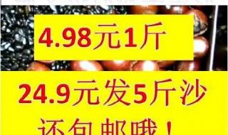 为什么炒栗子要放石子
