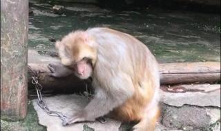 控制灵魂对自由的渴望