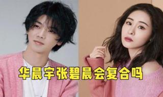 张碧晨简介个人资料