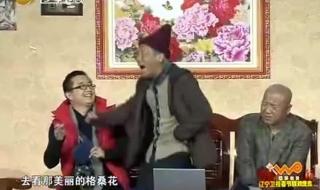2013辽宁春晚小品大全