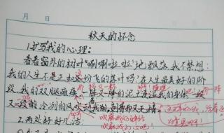 秋天的怀念教学设计